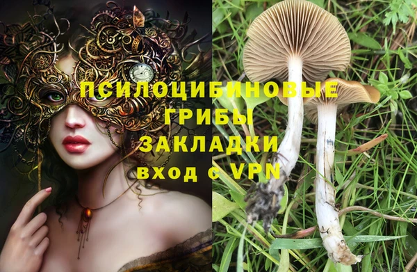тгк Липки