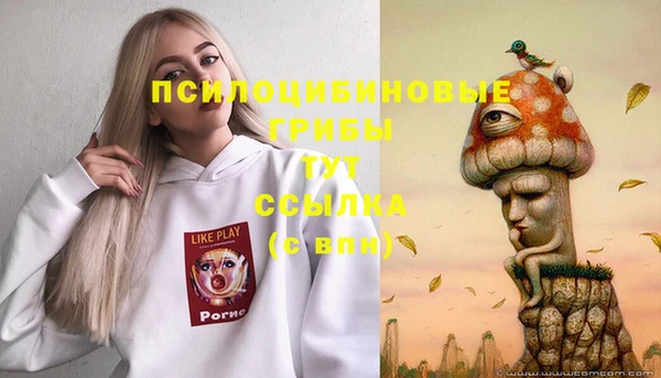 марки lsd Лагань