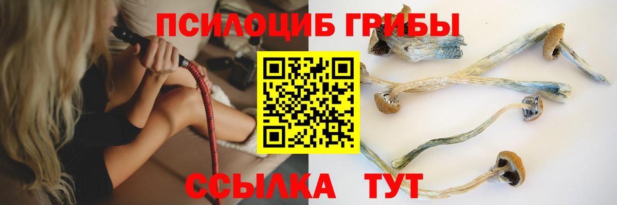 Галлюциногенные грибы Magic Shrooms  Вход с VPN  Нальчик  Галлюциногенные грибы мухоморы 